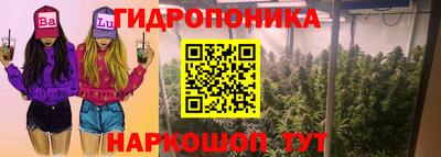 стафф Бузулук