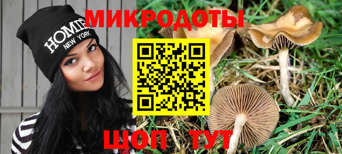 Псилоцибиновые грибы MAGIC MUSHROOMS  Вход с VPN  даркнет сайт  Севастополь 